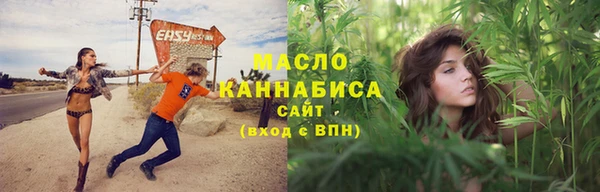 мдпв Богородск