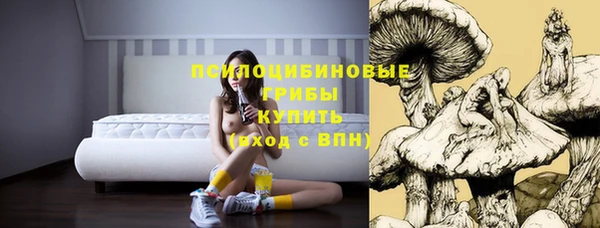 мдпв Богородск