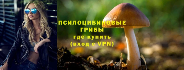 прущая мука Богданович