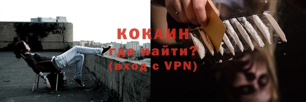 твердый Богородицк