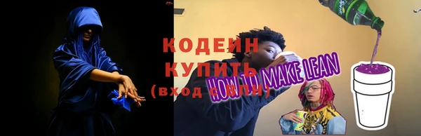 мдпв Богородск