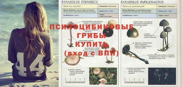 прущая мука Богданович